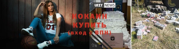 дживик Алексин