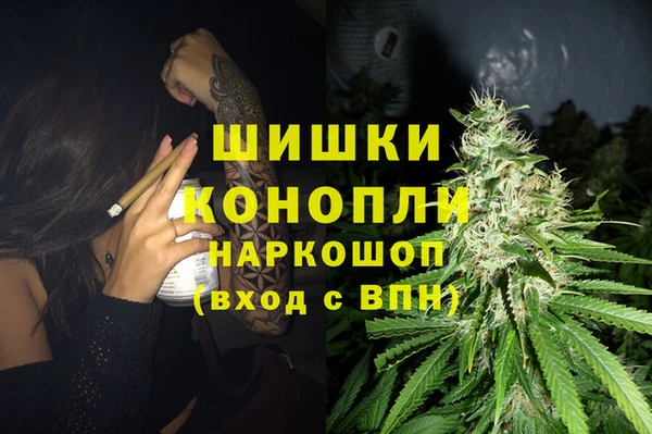 дживик Алексин